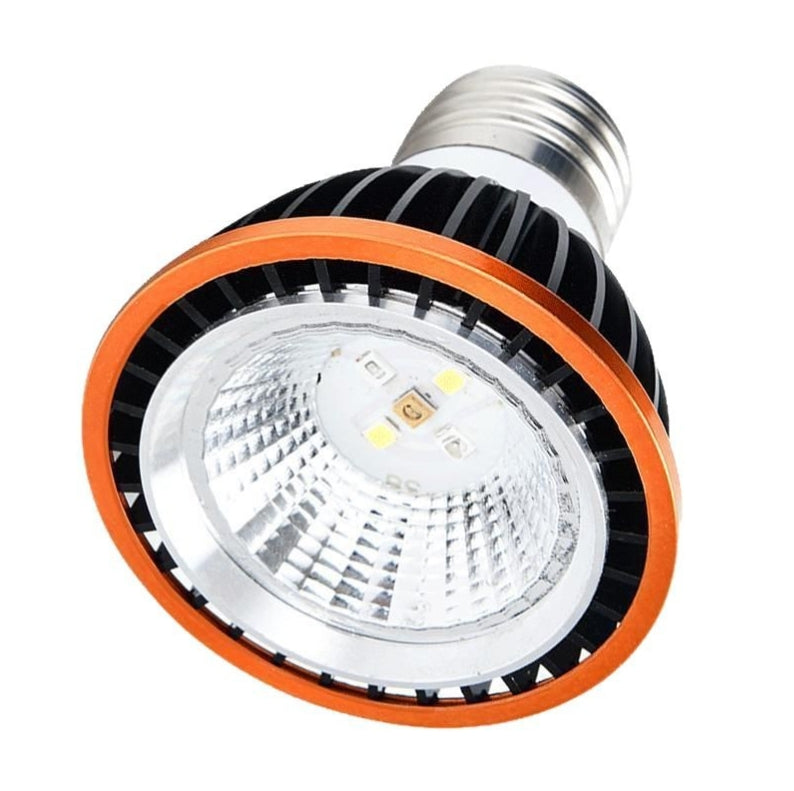 PAR20 World-Wide Voltage Black Low Energy Consumption Light Bulb Cool Warm