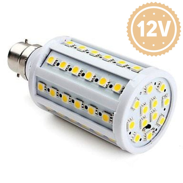 Lampe LED Lumière Naturel 12W 12V 24V AC Dc E27 pour Photovoltaïque Cabane