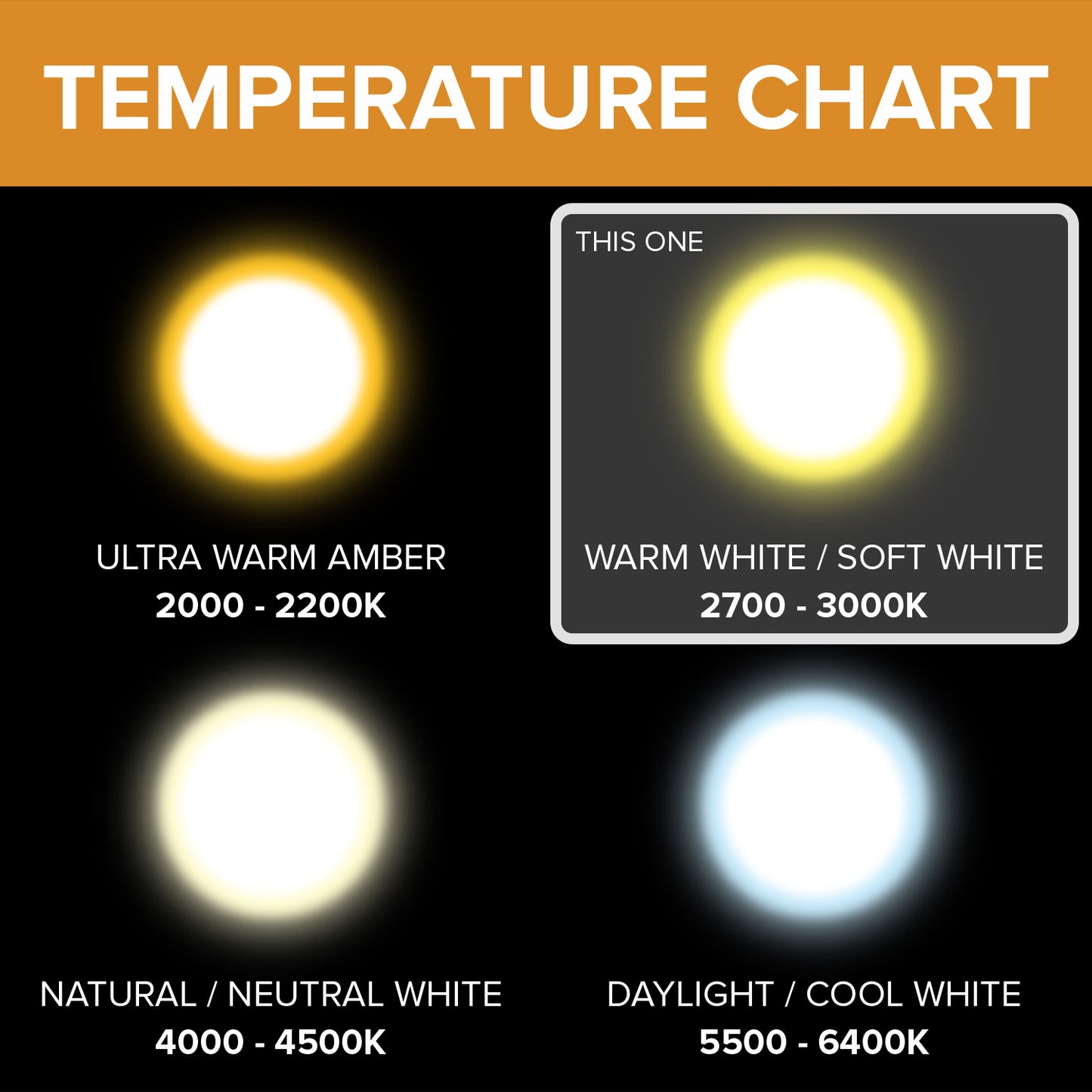 GY6.35 Halogen Light Bulb 35W-75W Wax Warmer Replacement 120V Clear I 10 Pack