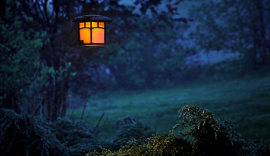 How to Achieve Great Landscape Lighting on a Budget