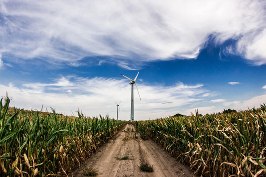 renewable energy power plants in the world