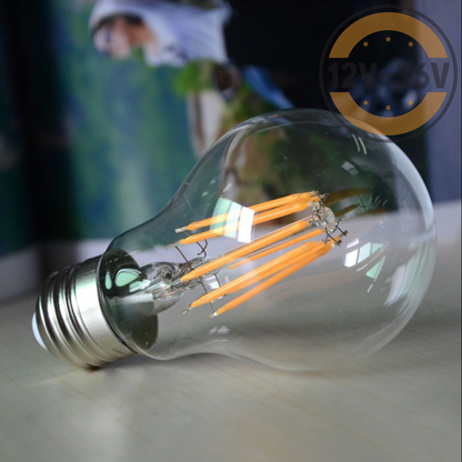Dc 12V-36V 6W A19 A60 Led Filament Vintage Light Bulb Nostalgic Cage Lamp Light Bulb