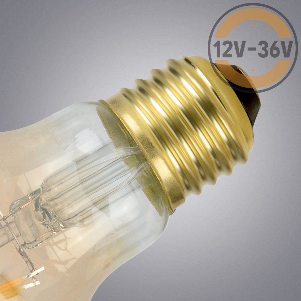 Gold Tint 12V-36V 6W A19 A60 Led Filament Edison Classic Light Bulb Light Bulb