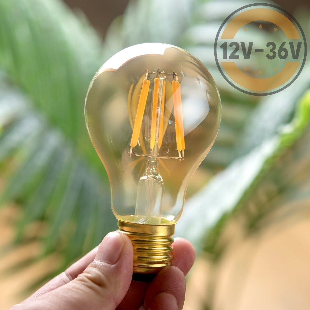 Gold Tint 12V-36V 6W A19 A60 Led Filament Edison Classic Light Bulb Light Bulb