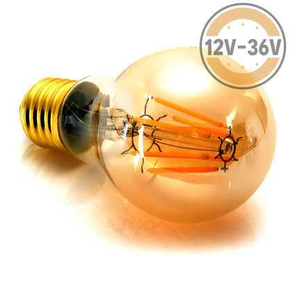 Gold Tint 12V-36V 6W A19 A60 Led Filament Edison Classic Light Bulb Light Bulb