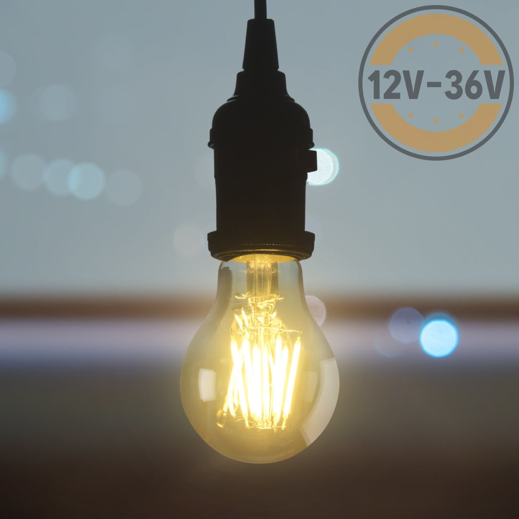 Gold Tint 12V-36V 6W A19 A60 Led Filament Edison Classic Light Bulb Light Bulb