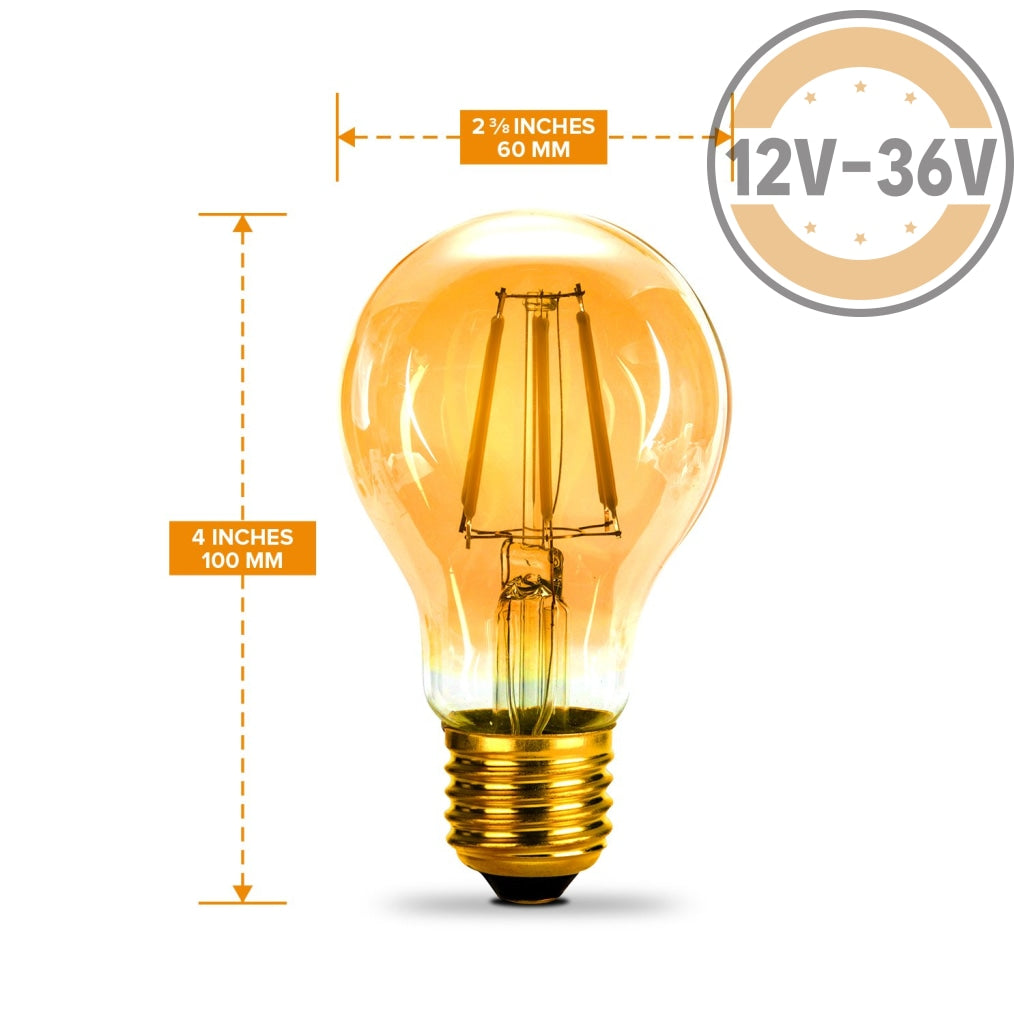 Gold Tint 12V-36V 6W A19 A60 Led Filament Edison Classic Light Bulb Light Bulb