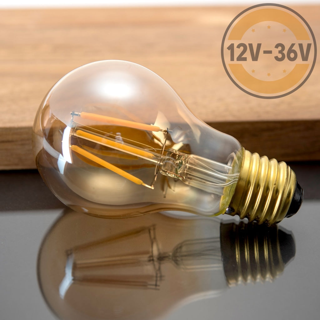 Gold Tint 12V-36V 6W A19 A60 Led Filament Edison Classic Light Bulb Light Bulb